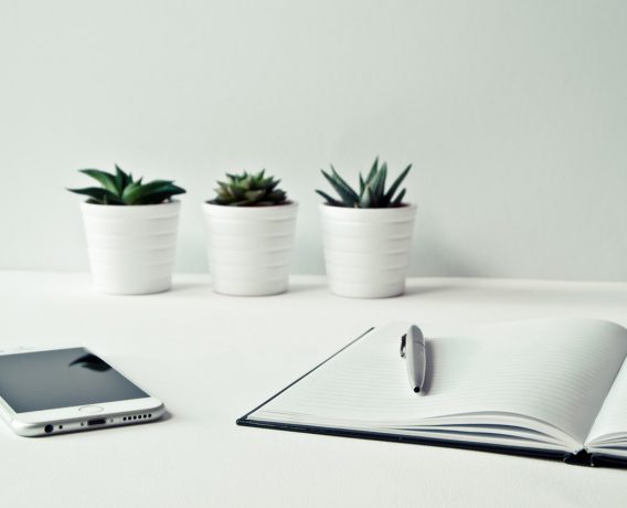 obowiązek składek zus