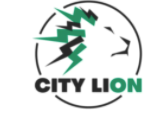CityLion - zewnętrzne baterie o hulajnogi